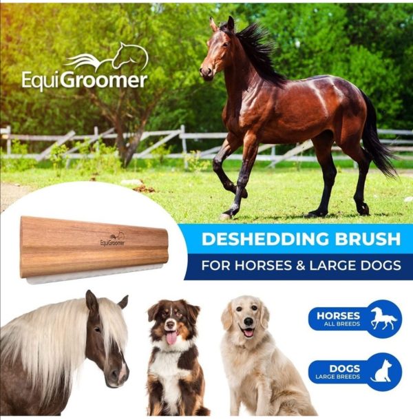EquiGroomer - Large 8"